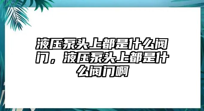 液壓泵頭上都是什么閥門，液壓泵頭上都是什么閥門啊