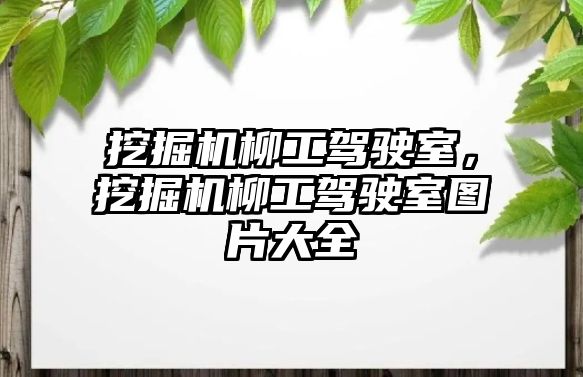 挖掘機柳工駕駛室，挖掘機柳工駕駛室圖片大全