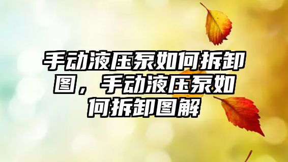 手動液壓泵如何拆卸圖，手動液壓泵如何拆卸圖解