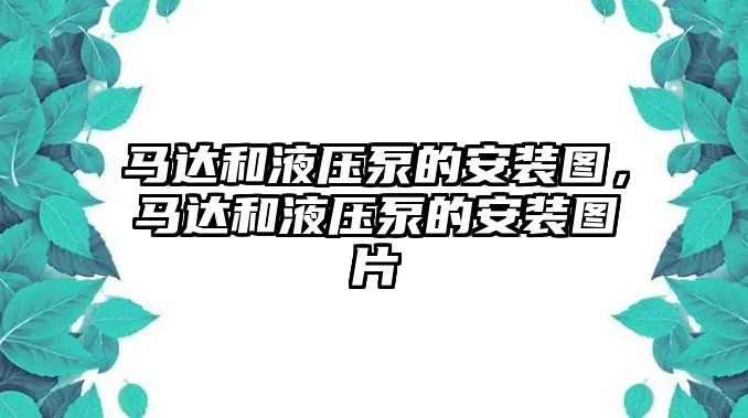 馬達(dá)和液壓泵的安裝圖，馬達(dá)和液壓泵的安裝圖片