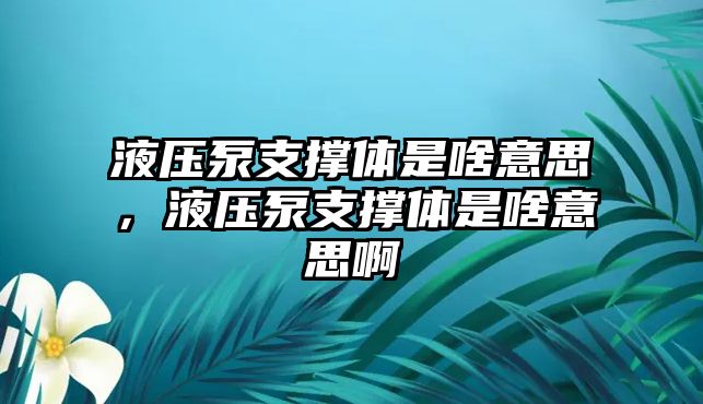 液壓泵支撐體是啥意思，液壓泵支撐體是啥意思啊