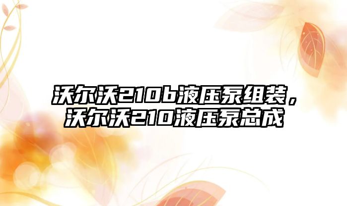 沃爾沃210b液壓泵組裝，沃爾沃210液壓泵總成