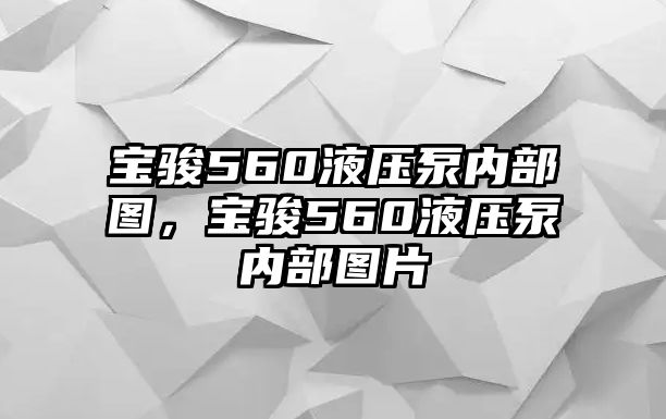 寶駿560液壓泵內部圖，寶駿560液壓泵內部圖片