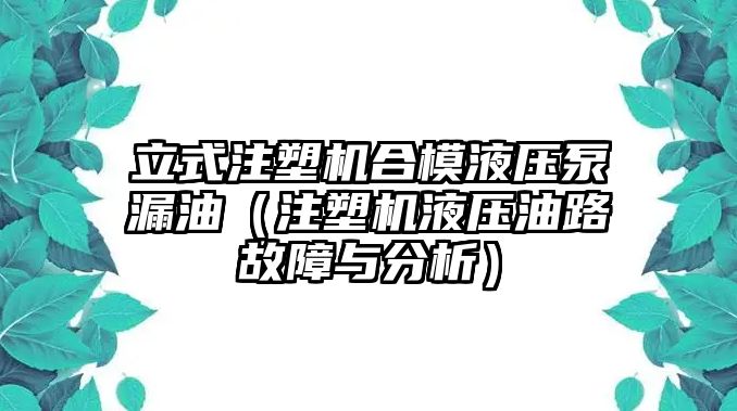 立式注塑機(jī)合模液壓泵漏油（注塑機(jī)液壓油路故障與分析）