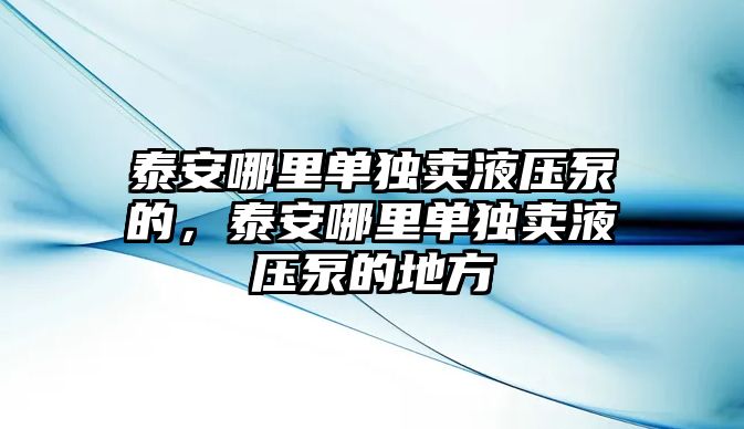 泰安哪里單獨(dú)賣液壓泵的，泰安哪里單獨(dú)賣液壓泵的地方