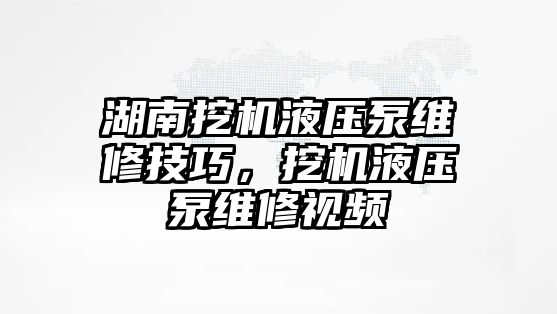 湖南挖機液壓泵維修技巧，挖機液壓泵維修視頻