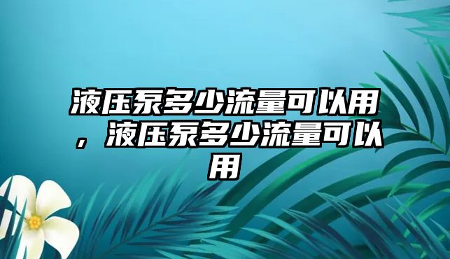 液壓泵多少流量可以用，液壓泵多少流量可以用