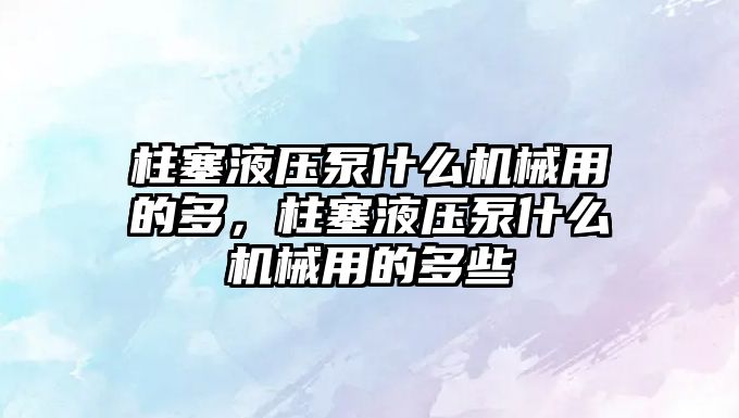 柱塞液壓泵什么機械用的多，柱塞液壓泵什么機械用的多些