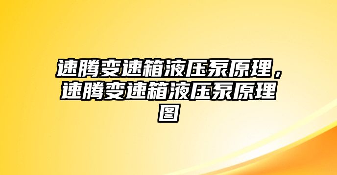 速騰變速箱液壓泵原理，速騰變速箱液壓泵原理圖