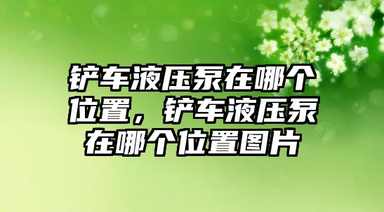 鏟車液壓泵在哪個位置，鏟車液壓泵在哪個位置圖片