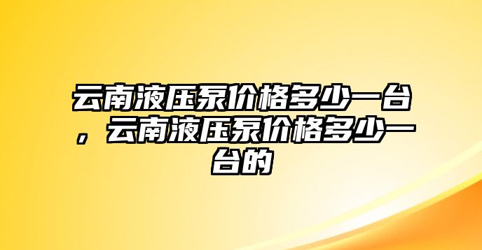 云南液壓泵價格多少一臺，云南液壓泵價格多少一臺的