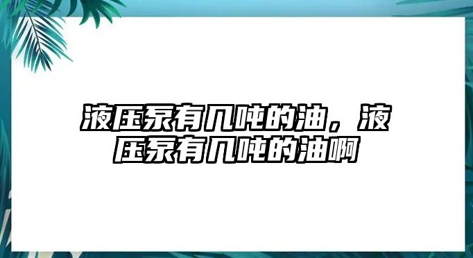 液壓泵有幾噸的油，液壓泵有幾噸的油啊