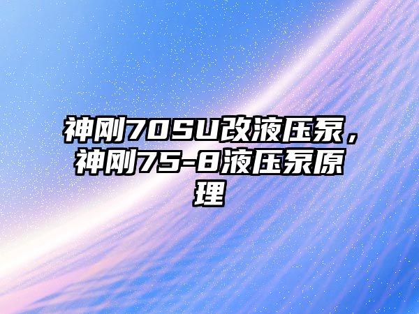 神剛70SU改液壓泵，神剛75-8液壓泵原理