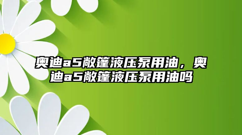 奧迪a5敞篷液壓泵用油，奧迪a5敞篷液壓泵用油嗎