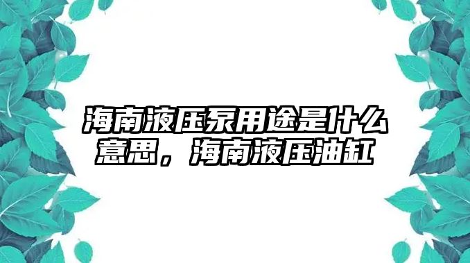 海南液壓泵用途是什么意思，海南液壓油缸