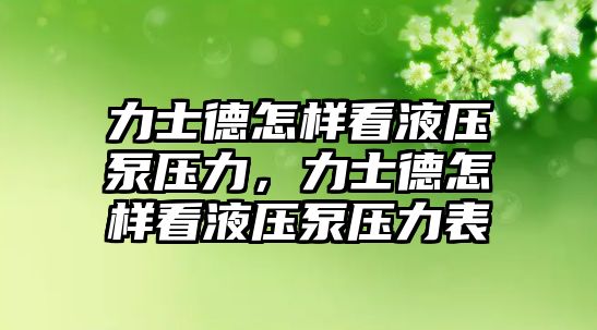 力士德怎樣看液壓泵壓力，力士德怎樣看液壓泵壓力表