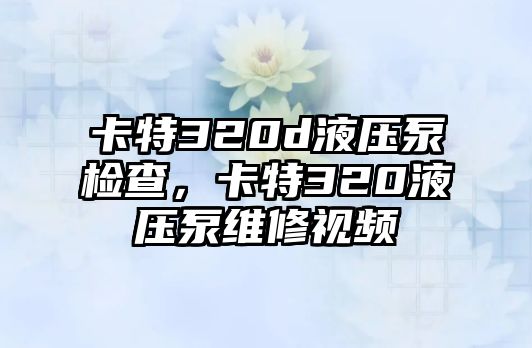 卡特320d液壓泵檢查，卡特320液壓泵維修視頻