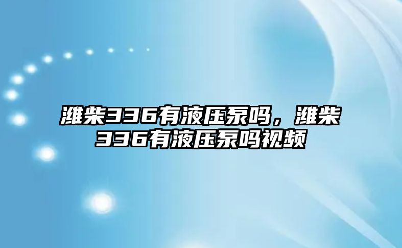 濰柴336有液壓泵嗎，濰柴336有液壓泵嗎視頻