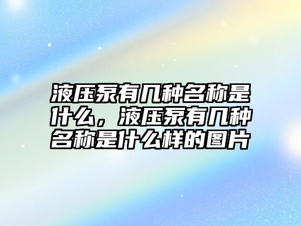 液壓泵有幾種名稱是什么，液壓泵有幾種名稱是什么樣的圖片