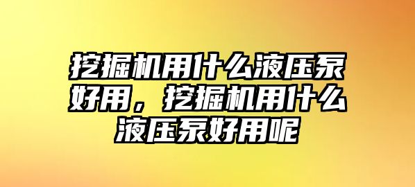 挖掘機(jī)用什么液壓泵好用，挖掘機(jī)用什么液壓泵好用呢