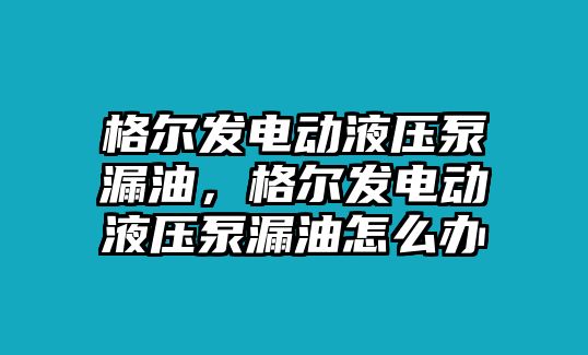 格爾發(fā)電動液壓泵漏油，格爾發(fā)電動液壓泵漏油怎么辦