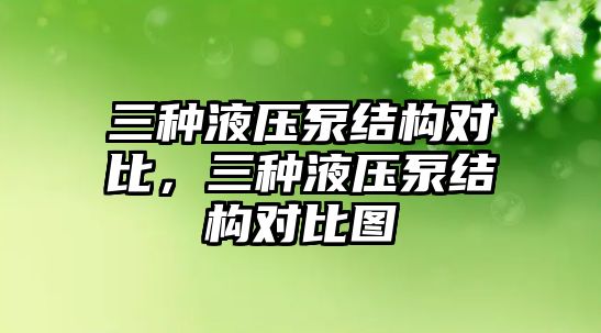 三種液壓泵結(jié)構(gòu)對比，三種液壓泵結(jié)構(gòu)對比圖